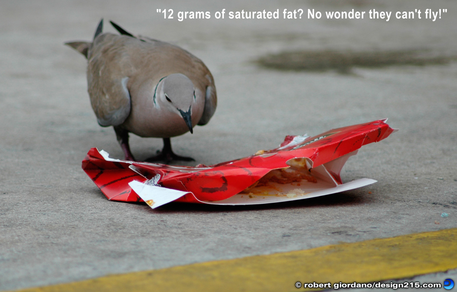 Conceptual Photography - "No Wonder They Can't Fly!"