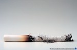 Conceptual Photography