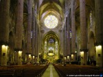 thumbnail of design215.com/photos/travel/palma_cathedral